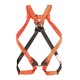 Safety Harness